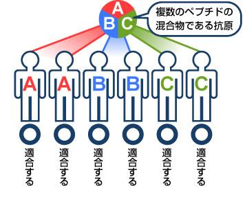 新技術人工抗原「ペプチベータ」