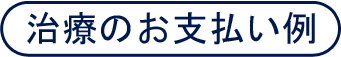 支払い例