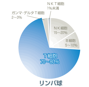 T細胞円グラフ