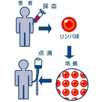 当院の治療の流れ